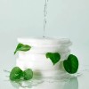 CELIMAX Cleansing Pad-valomieji padeliai